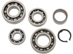 Transmission Bearing Kit - 11060202