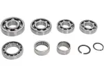 Transmission Bearing Kit - 11060205