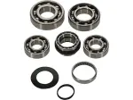Transmission Bearing Kit - 11060260