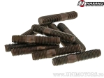 Uitlaatsysteem Bouten M6/M6 - Set van 10 stuks - Naraku