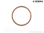 Uscușă de eșapament Athena, 55,5x62,5x2,7 mm, BMW 33113038196 - Athena