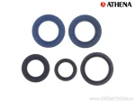 Uscuțele / simeringuri motor Athena, set, Rotax 504 - Athena