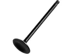 Valvola di ricambio - Nera - 09263108