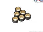 Variátor görgő - 15x12mm (6 darab / 2,3g - 9,0g) - (RMS)