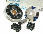 Variator Hi-Speed - Derbi-Atlantis 50 2T AC (2001->) (motor Derbi) (VTHATL0EA)  / Predator 50 LC - Polini