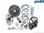Variator Hi-Speed Evolution 2 (diameter 16mm / angle 13°) - Aprilia Area 51 50 H2O 2T E1 ('98-'00) - Polini
