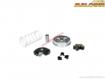 Variator Multivar 2000 (5117717) - Honda Lead 110i H2O 4T E3 ('08-'12) - Malossi