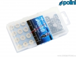 Variator weight set (16x13mm / 3.5-4-4.5-5g) - Polini