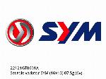Variatorgewichtsatz SYM (16x13) 07,5g (6x) - 22121GT8601A - SYM