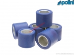 Variatorrollen 25x21,8mm (Satz mit 6 Rollen / 16,3g) - Polini
