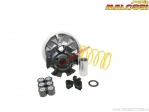Variomatic Multivar 2000 (5111577) - Sym Super Duke 150 AIR 4T E1 ('97-'02) - Malossi
