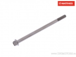 Vis de bouchon hexagonal Pro Bolt M6 x 1.00 x 100 mm titane - JM