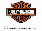 Vite testa bombata autofilettante torx - 2965 - Harley-Davidson