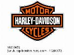 Vite testa bombata, torx, cromata - 10200672 - Harley-Davidson
