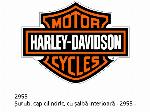 Vite testa cilindrica, con rondella interna - 2955 - Harley-Davidson