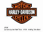 Vite testa cilindrica Torx - 4134 - Harley-Davidson