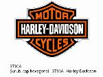 Vite, testa esagonale - 3730A - Harley-Davidson