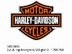 Vite testa esagonale, grado SAE 8 - 10500054 - Harley-Davidson