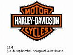 Vite testa tonda, esagonale, autobloccante - 2235 - Harley-Davidson