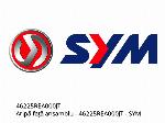 Vorderes Schutzblech komplett - 46225REA000JT - SYM