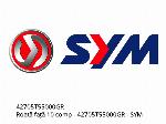 Vorderrad 10 komplett - 42705T55000GR - SYM