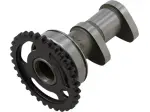 Wałek rozrządu dolotowy Etap 2 - 09250663