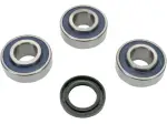 Wheel Bearings and Seal Kit - A251366